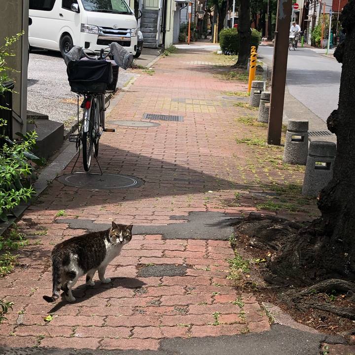 Cec06b6f eefd 4adf ad60 2ce87ee0ce05 1560602908821