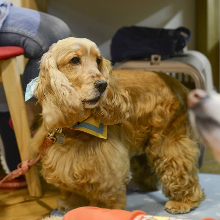 Cec0dc77 f53b 448b 9b44 12d0165042de 1535378843107