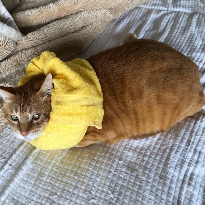 Cec1121d 2e10 4624 9af4 1b73054a99f6 1600812119215