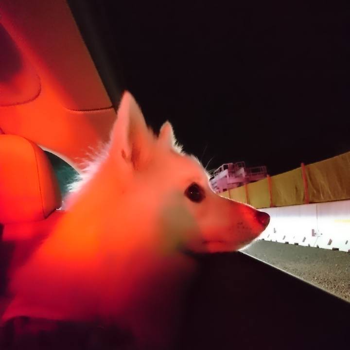 Cec11fcb 9776 4bd6 8f42 78274e93323d 1537097416267