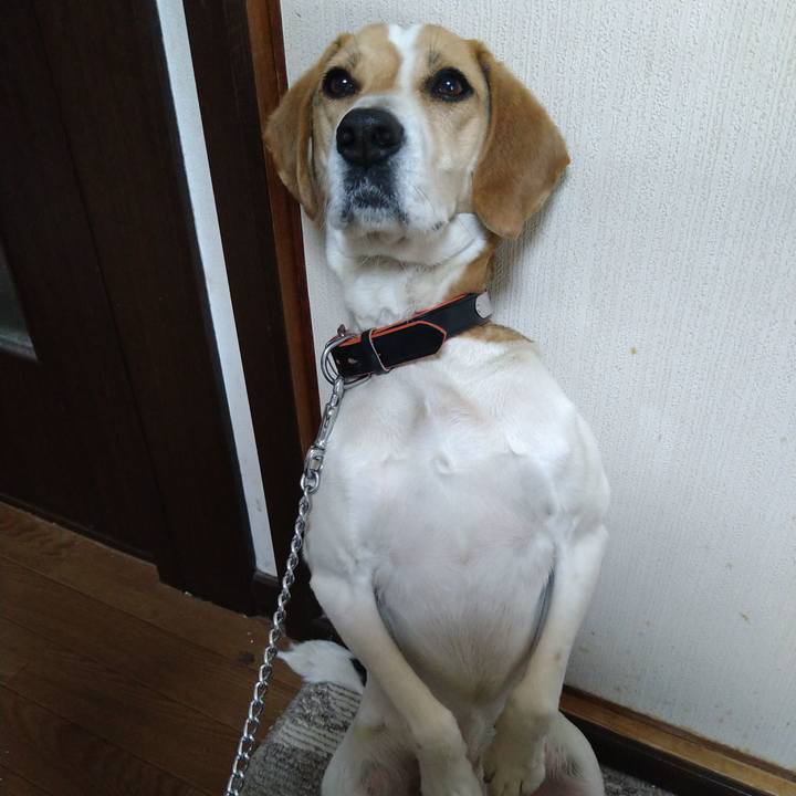 Cec123d9 9419 4c33 a91f f2c8e2cce214 1619077854896