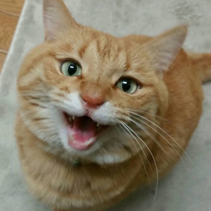 Cec157c5 09d9 404a 8a69 93b8d046e02b 1514247146904