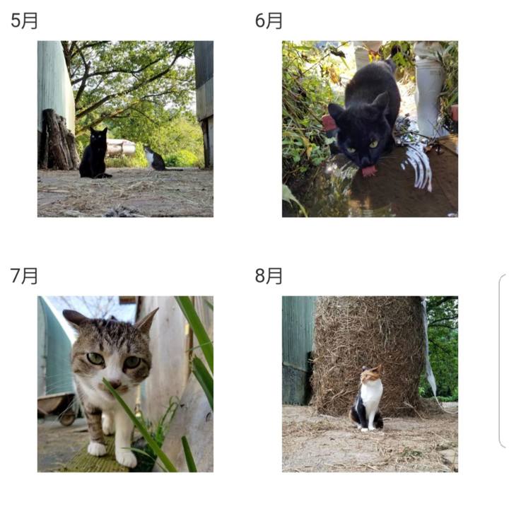 Cec161e5 88a5 44a9 b7fd de33a5a20f81 1602109656084