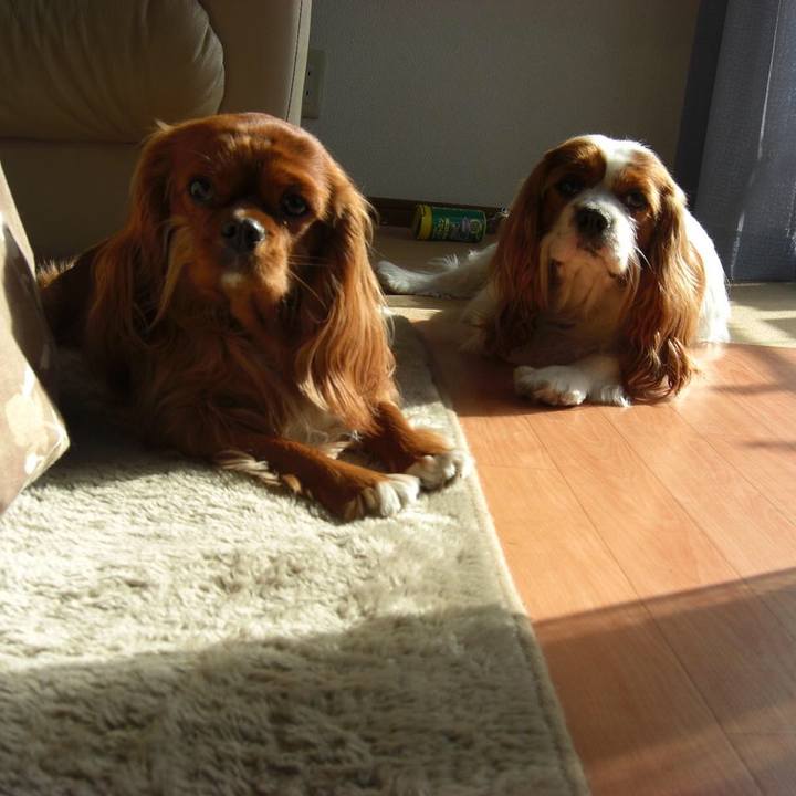 Cec17960 e095 4bf3 ab76 c74a1b52b64e 1565828971301