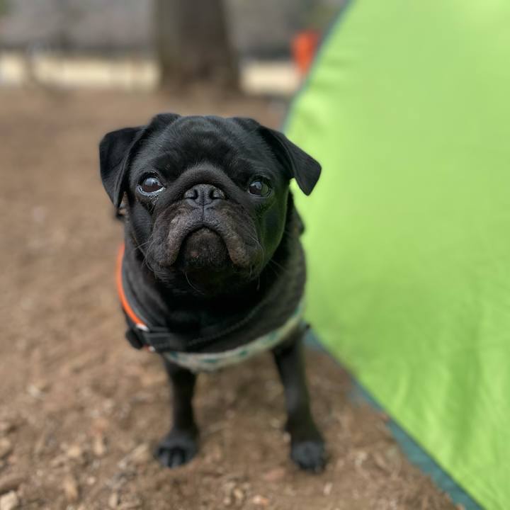 Cec18c1c d9f6 4700 8990 792009dc47c4 1615086688160