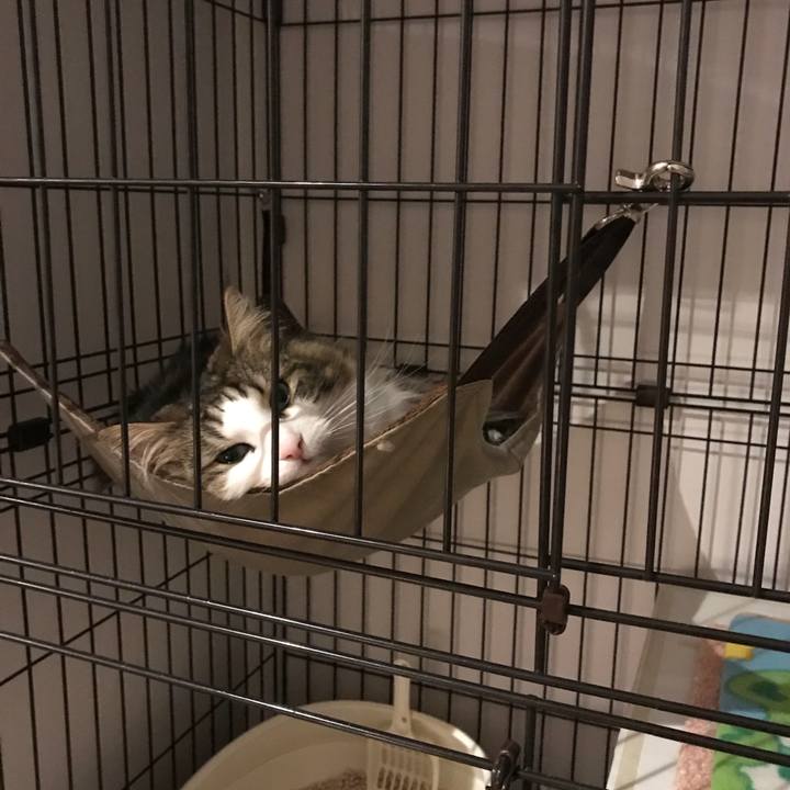 Cec1af7f 888a 4a16 9488 f08cb2a93c0c 1522062531412