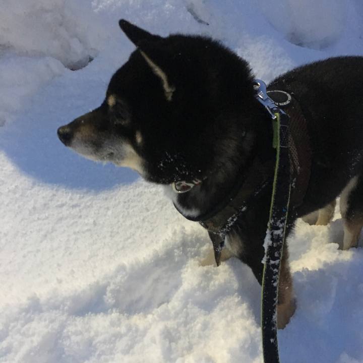 Cec1b2ab b291 49c0 88e7 fcdcb983a18a 1518741631807