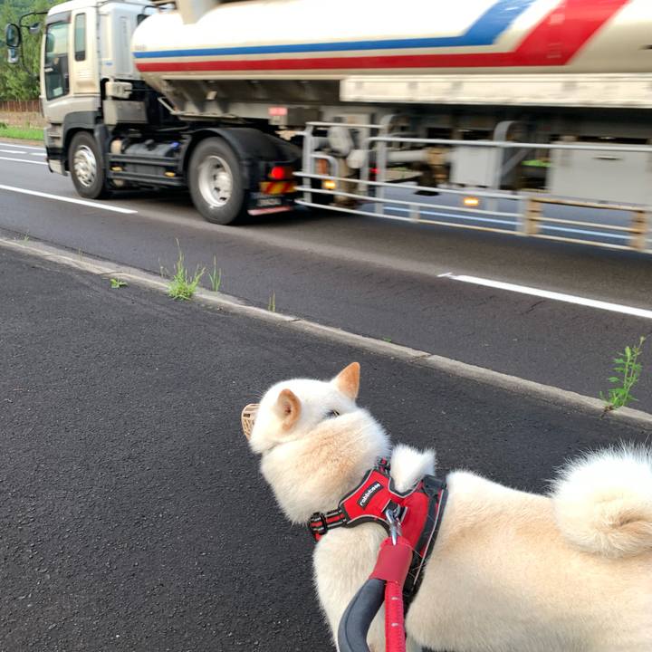 Cec1bee7 a3f3 47ad aa34 920d3e1d565f 1657744494261