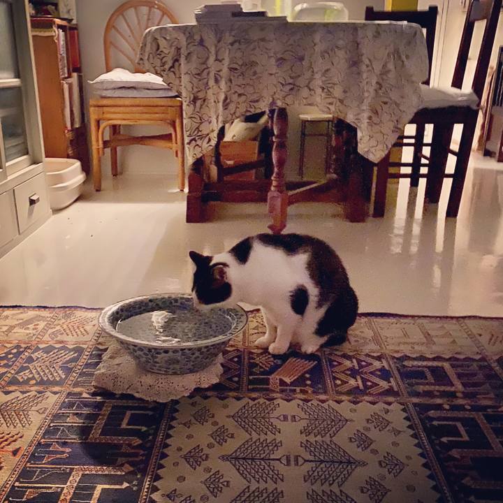 Cec1c03f e520 43a0 9b95 649a78037f4b 1584722213900