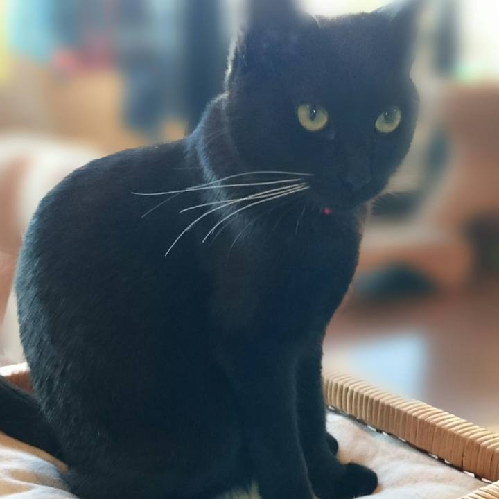 Cec1ddec 5576 4c08 b69e bf23b655b793 1513824697907