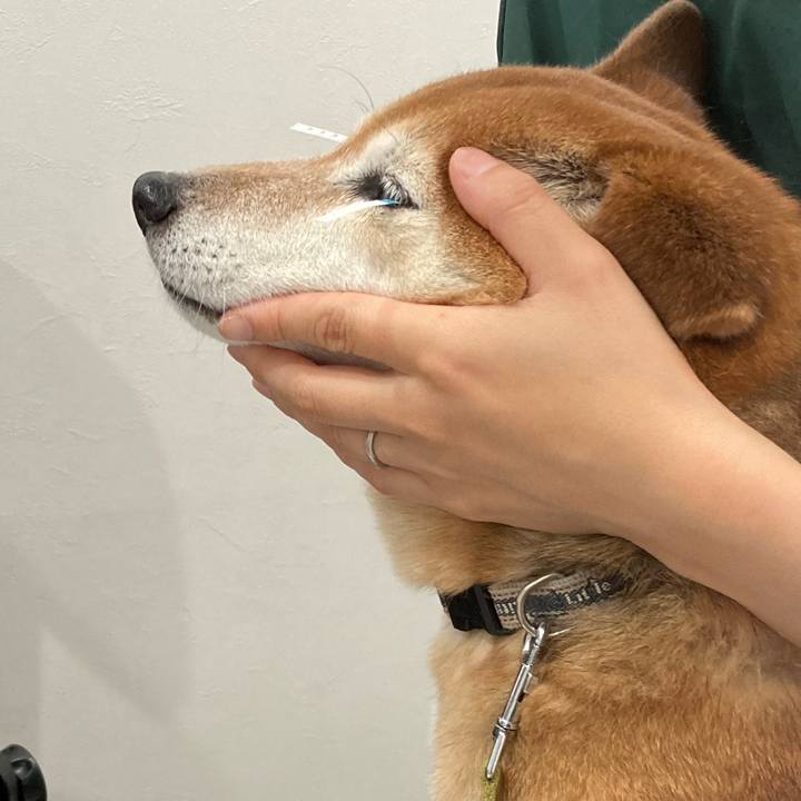 Cec1f0bd 83df 4c6a 8df8 d5218ae72a9e 1687171094939