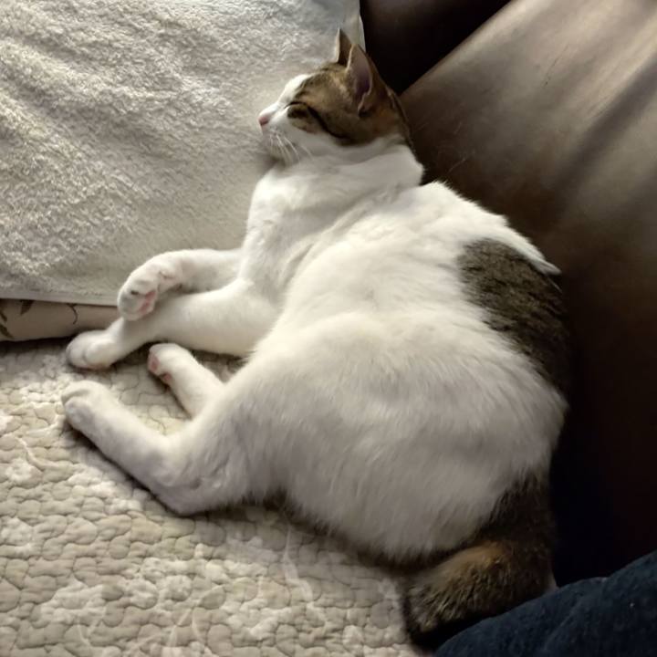 Cec1fdb7 a7c1 443c afb7 7f69da602b21 1714481069430