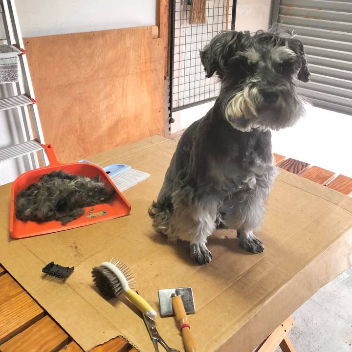 Cec2017b 8e2c 4dfd ae9f 0f0ecafeac78 1619359891486