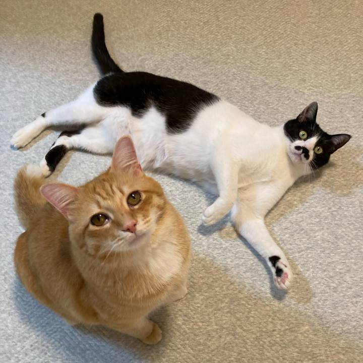 Cec24ae1 1681 45cb 9199 936857d05c6d 1772281019730