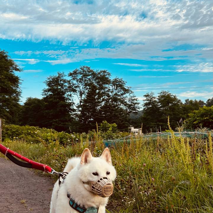 Cec2c3c1 51d9 48b3 9315 ddf3978838eb 1754082219656