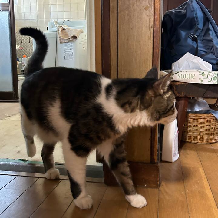 Cec2ca75 ca0e 4021 bef3 68d5c807c192 1724737516496