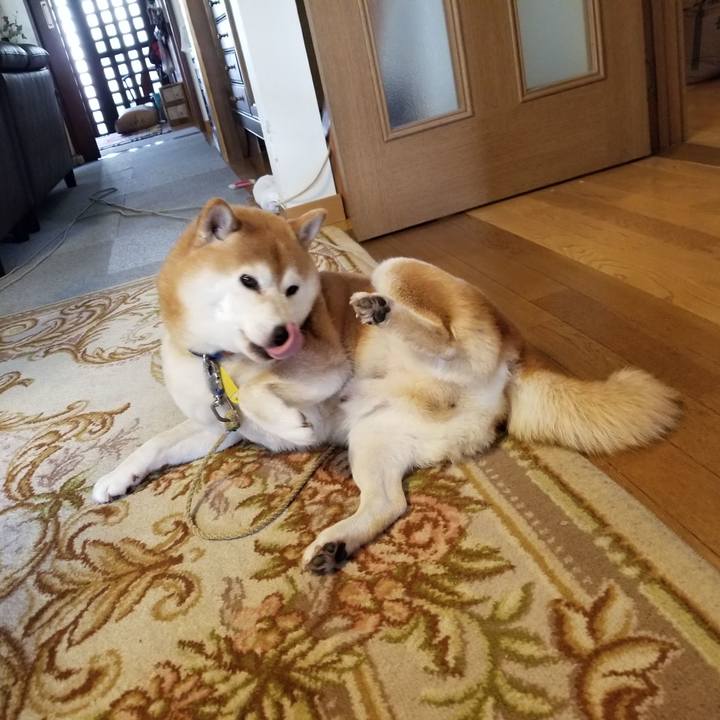 Cec32cd6 161d 4616 a2be 94079e470ed3 1572045733441