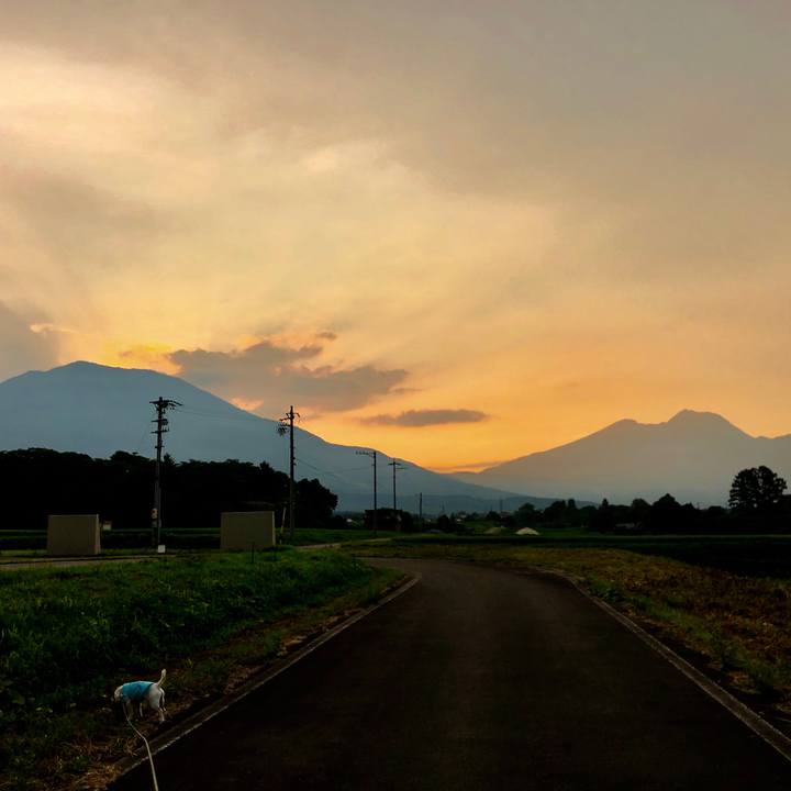 Cec33085 eeae 4fce b7e4 f6942bc26b8c 1564655094257