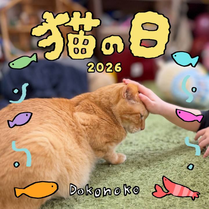 Cec3838d e1f3 4c9a 87ac 28fe20038ed9 1771751015710