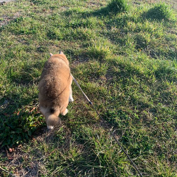 Cec3c400 974e 4530 9a2d f7aa81e7b0e4 1677571935143