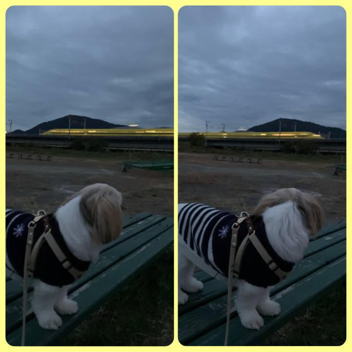 Cec3ca06 894c 4bef bbff ce697e176d16 1636195685413