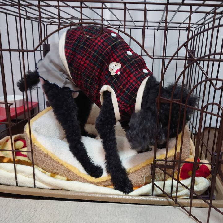 Cec415a0 ff47 49f1 990b 81ba53db2c15 1766823616979