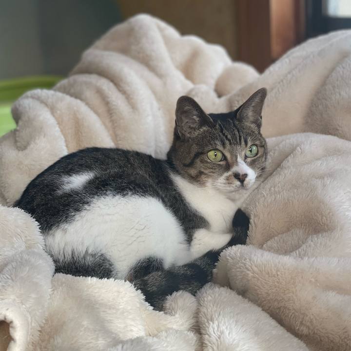 Cec432c0 b4c8 41c9 bbc6 28a5bb86f34c 1637200688203