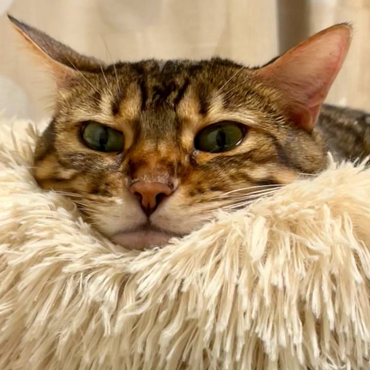 Cec44dad 5629 4239 a26e f58f15a16cc9 1662533496259