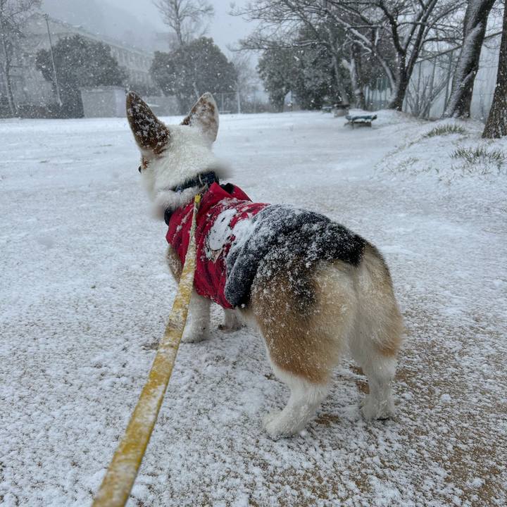 Cec46e5e 60a5 44ff b739 ed3602d54e6f 1770517583033