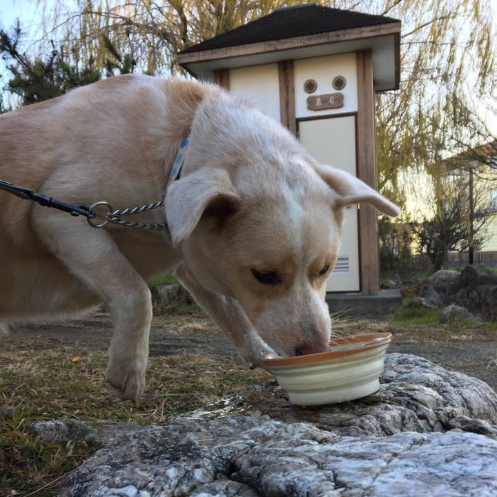 Cec49525 7f68 4599 9456 af81417bc92f 1514415554563