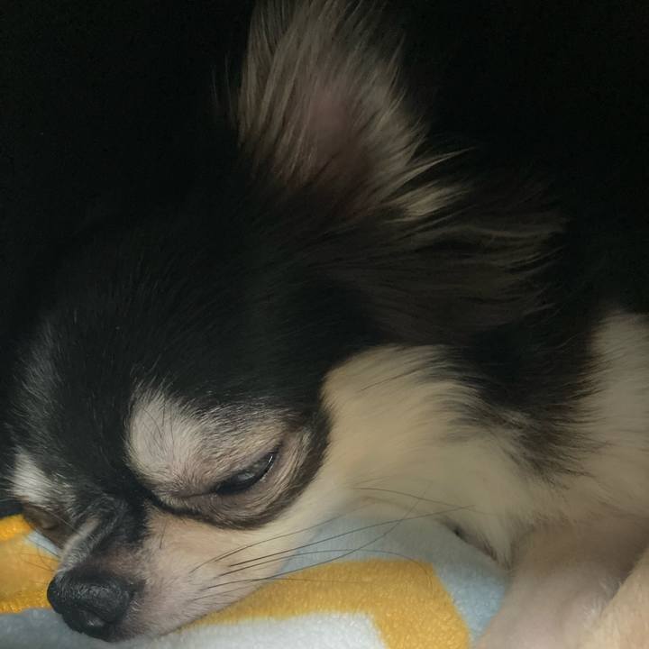 Cec4a48c 3552 4a15 bc21 f60fc3746951 1632374224824