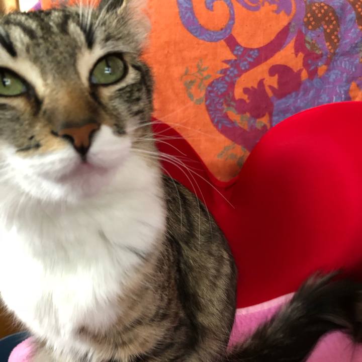 Cec4c1a0 787e 4fa2 9f02 f530d9bdd579 1516342092950