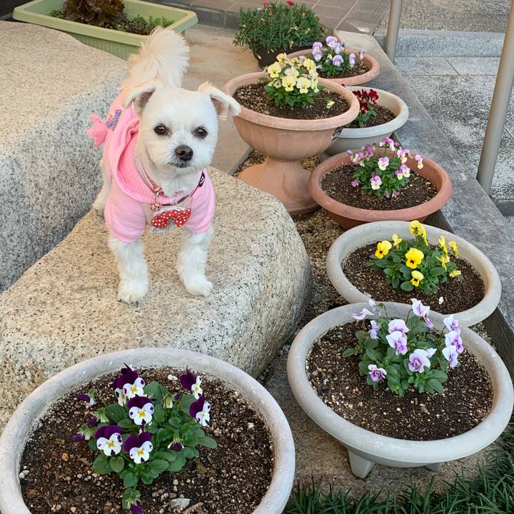 Cec4ea13 cfe0 4a5c 8976 527231a77efa 1605337374950