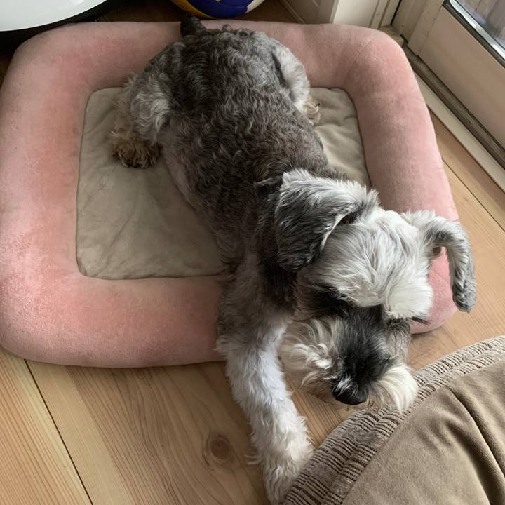 Cec4fe86 7a3a 4a1c ab78 2c71f397e2c5 1694478797690