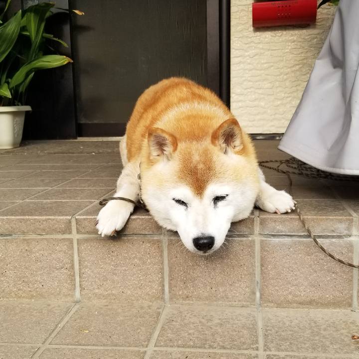 Cec51d09 0ed2 467b 88f4 dafc6a4b1378 1719303329927