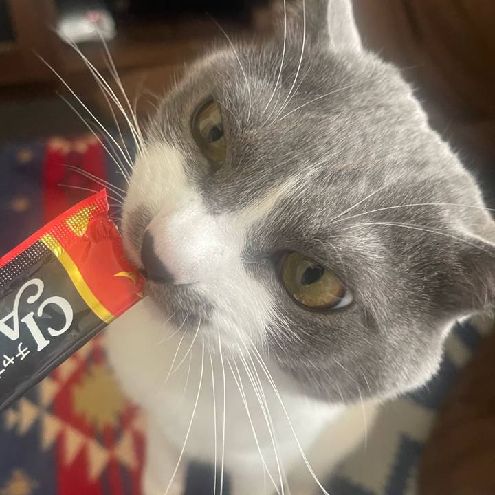 Cec5ba01 f61a 4e17 a35a 5a0414216710 1674284935775