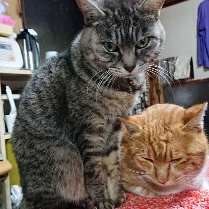 Cec5d93b 0065 478c bdee c3f65eb305f0 1582228803690