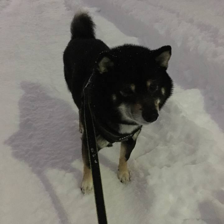 Cec5de9b c400 425a 8a2d 7692d03ab9f8 1519940088162