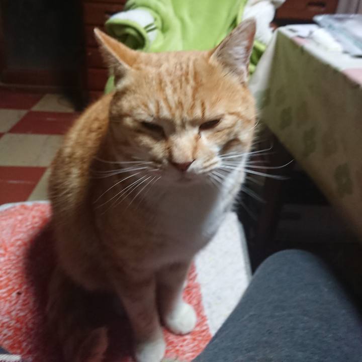 Cec613e7 0909 4ee0 ad91 d26ea6476b82 1583093195456