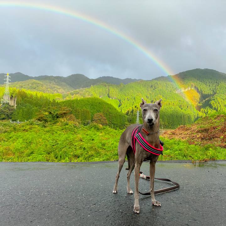 Cec626aa 1237 4475 b83a cf30d617c0d1 1761451326308