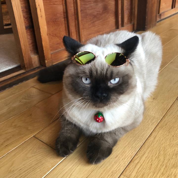 Cec63f2e 6138 42d2 92da 38dd0e08c5ad 1595141780544