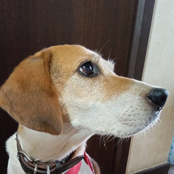 Cec651fd b222 4d74 8f03 986ff3ea83c5 1727440112160