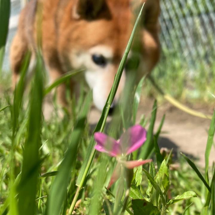 Cec679c4 c0d8 4df0 a39d 4c7f4ff66a0e 1683787849950