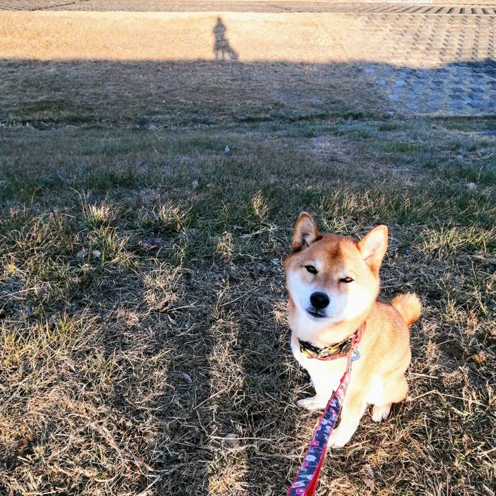 Cec68c0f d254 4e40 9820 1de1e7c36867 1611231544244