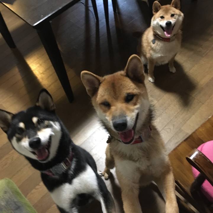 Cec6cbfd bdd2 453b ada9 85de4713dbd7 1537593494145