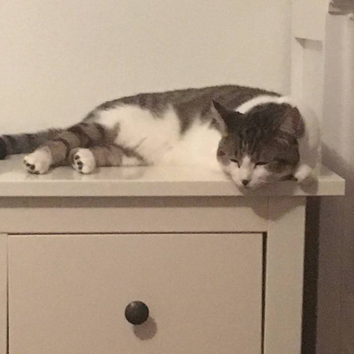 Cec6ff78 c33a 4511 b45f 254a096dc0eb 1662395835612