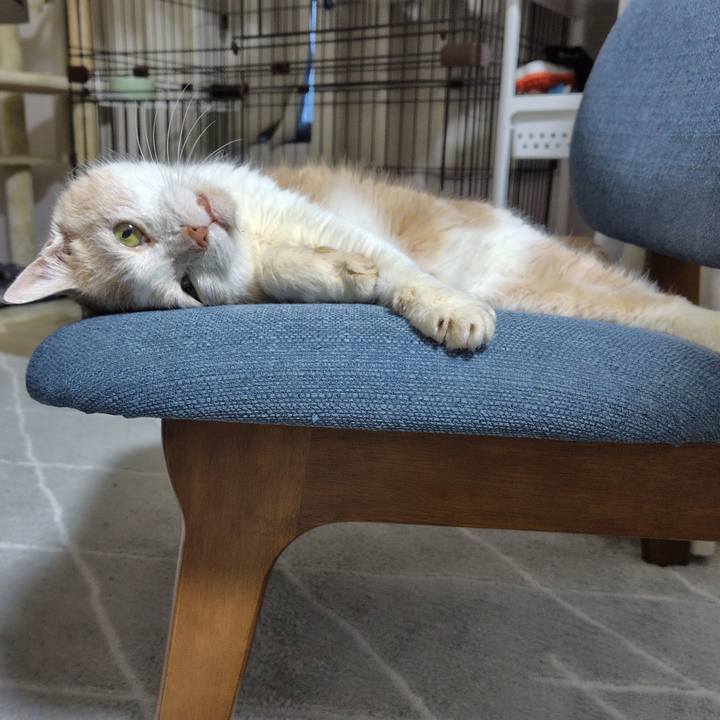 Cec7099e b181 4046 9edd 3f2b178b44c5 1719310108920