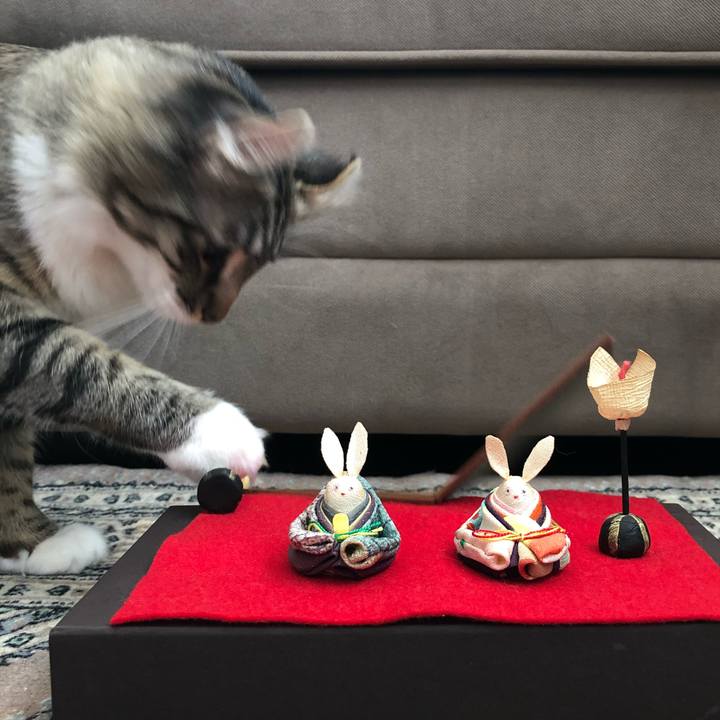 Cec709b9 6701 4b73 9fdd f28100bccf17 1614756430004