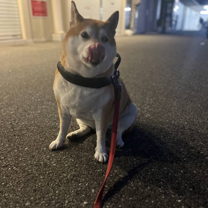 Cec72bc8 2033 4320 a4c0 abe4dcf52a6a 1699173654314