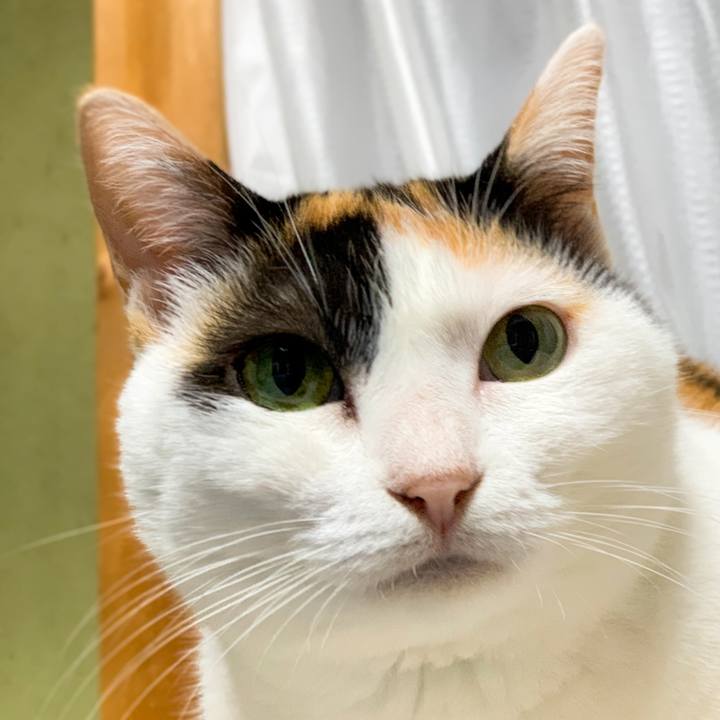 Cec7486e 52a8 4b5c 8deb 25e30657998d 1602553313922